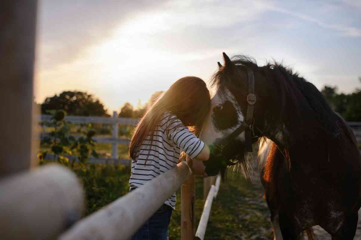 Communiquer avec un cheval